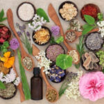 herbs and tinctures